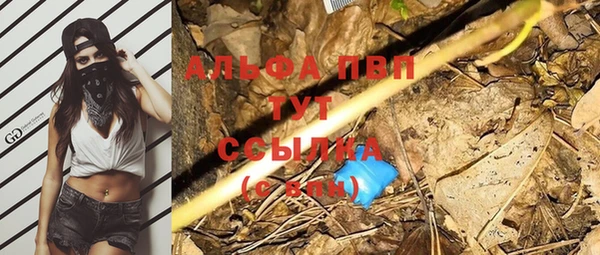 прущие крисы Кодинск