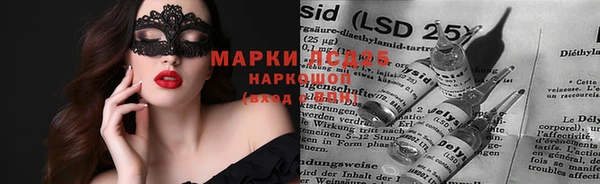прущие крисы Кодинск