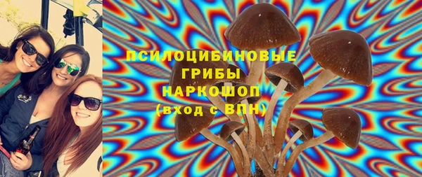прущие крисы Кодинск