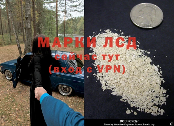 прущие крисы Кодинск
