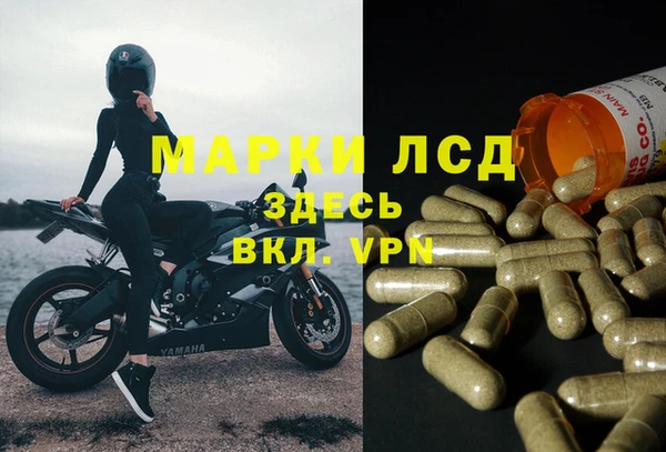 мяу мяу мука Козельск