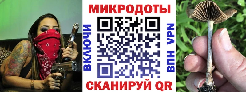 Купить закладки  Приозерск  Галлюциногенные грибы мухоморы 
